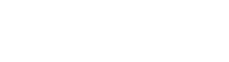 Logo Stratagema bianco- società di consulenza aziendale